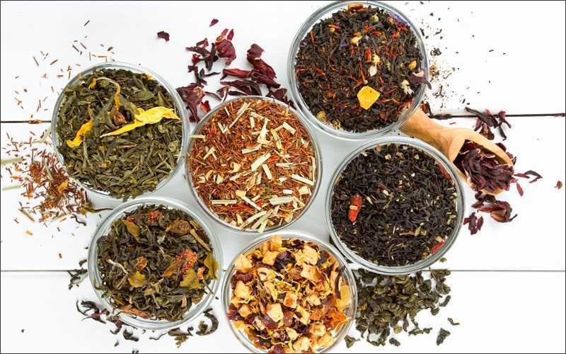 Trà thảo mộc là gì Nguồn gốc và các loại trà thảo mộc tốt cho sức khỏe 