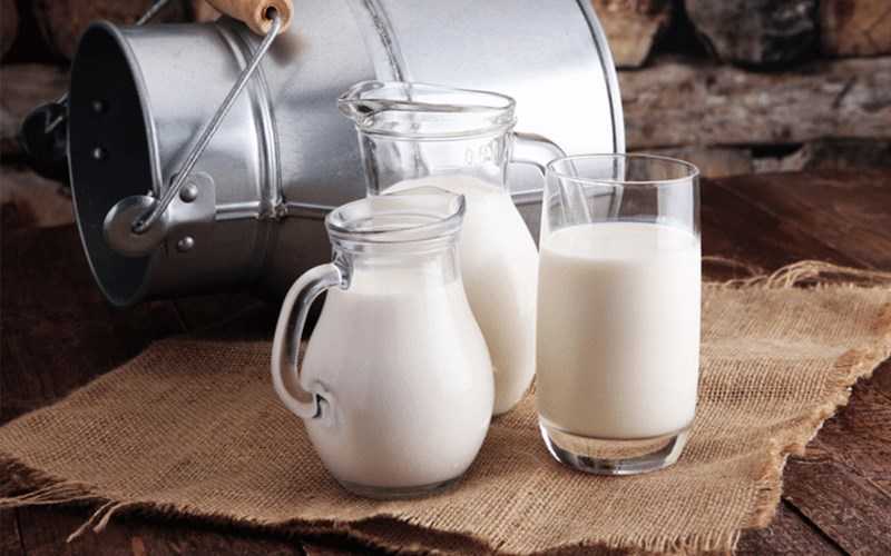 Sữa tươi là gì?  Các loại sữa tươi và tác dụng