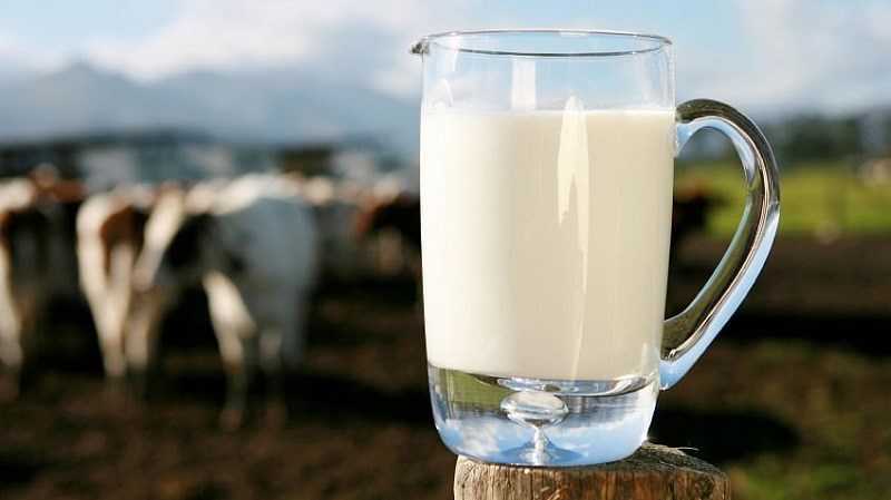 Sữa hữu cơ là gì?