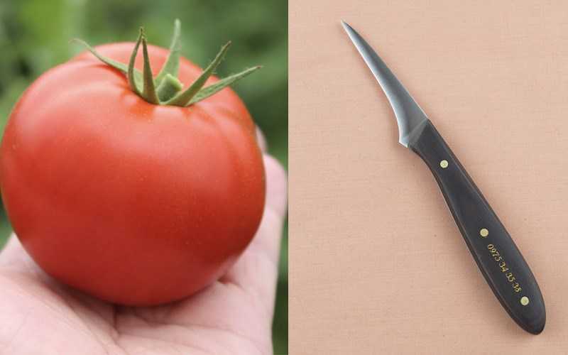 3 cách tỉa hoa cà chua đơn giản dễ làm cực đẹp mắt